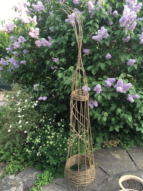 Weaving Wit Raspberry Canes Weaving Magic – Bizzymitts